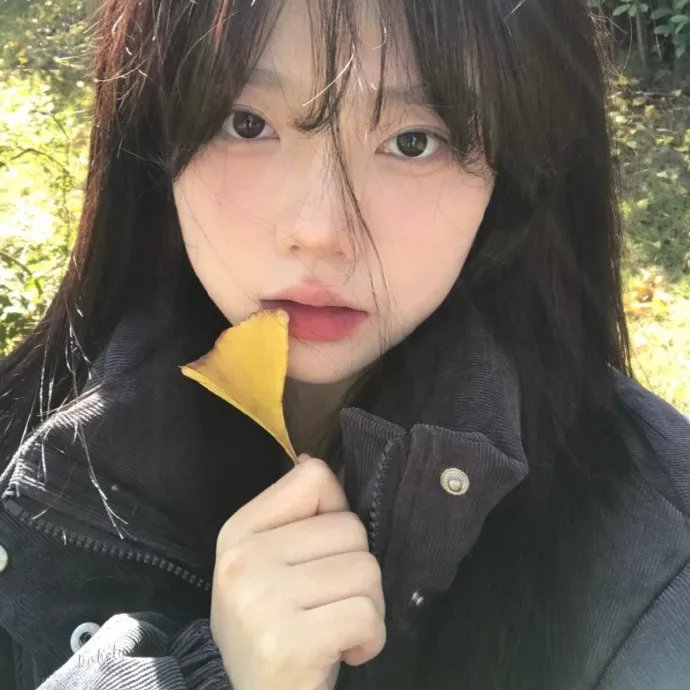 皮相猎影