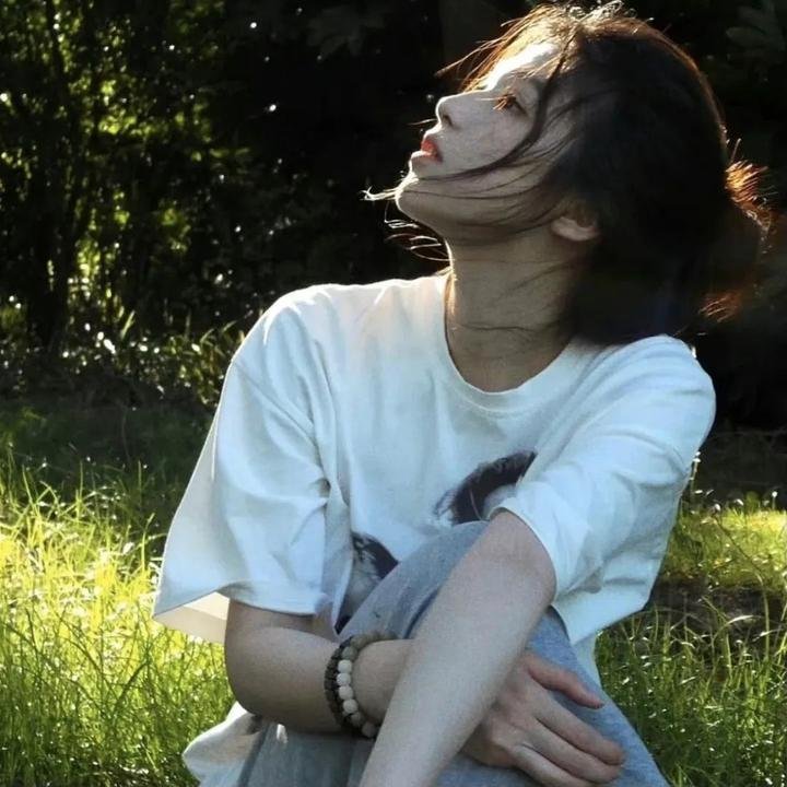 梦之森林